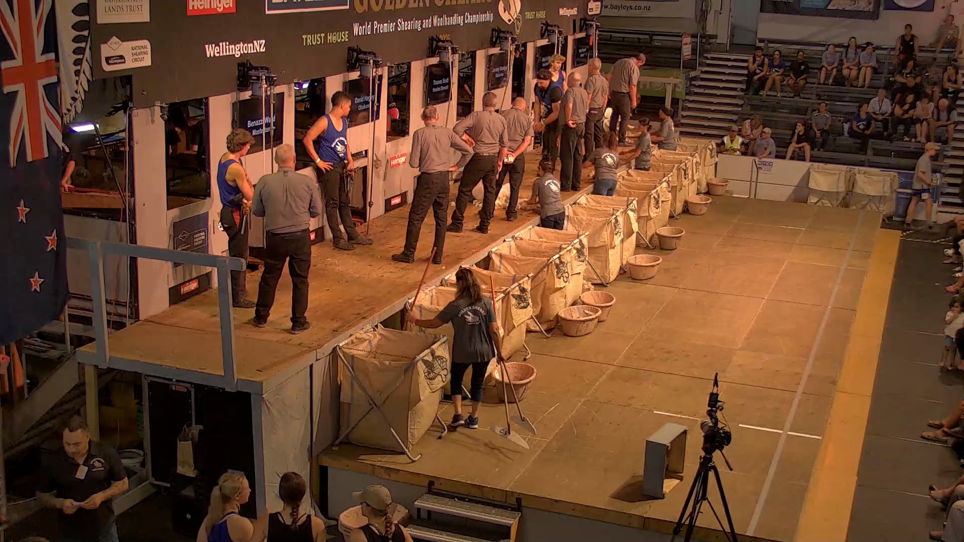 Junior Shearing Heats - Round 1_20250227_134324