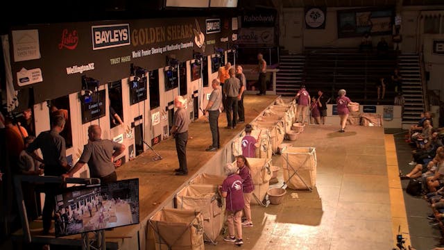 Bayleys  Open Shearing Heats Shearing...