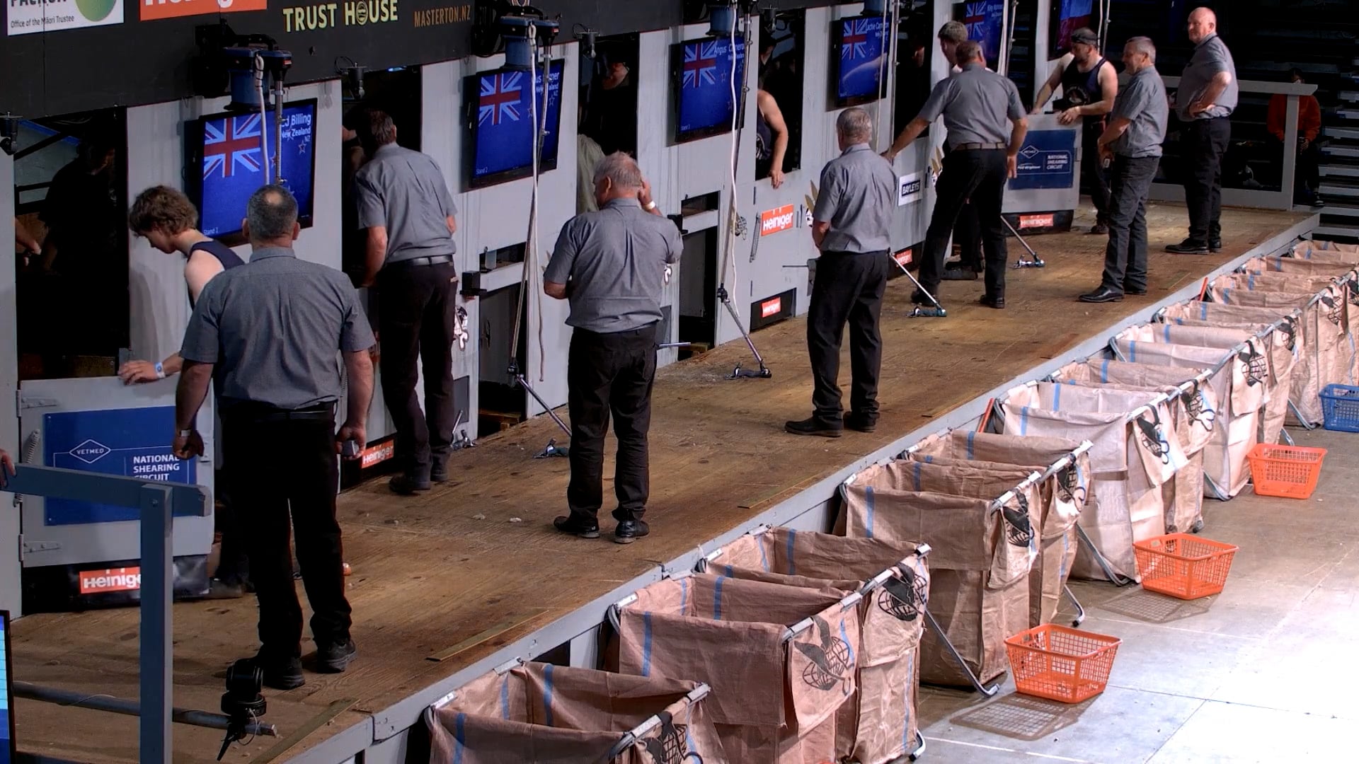 Intermediate Shearing Heats (2026) - Round 6