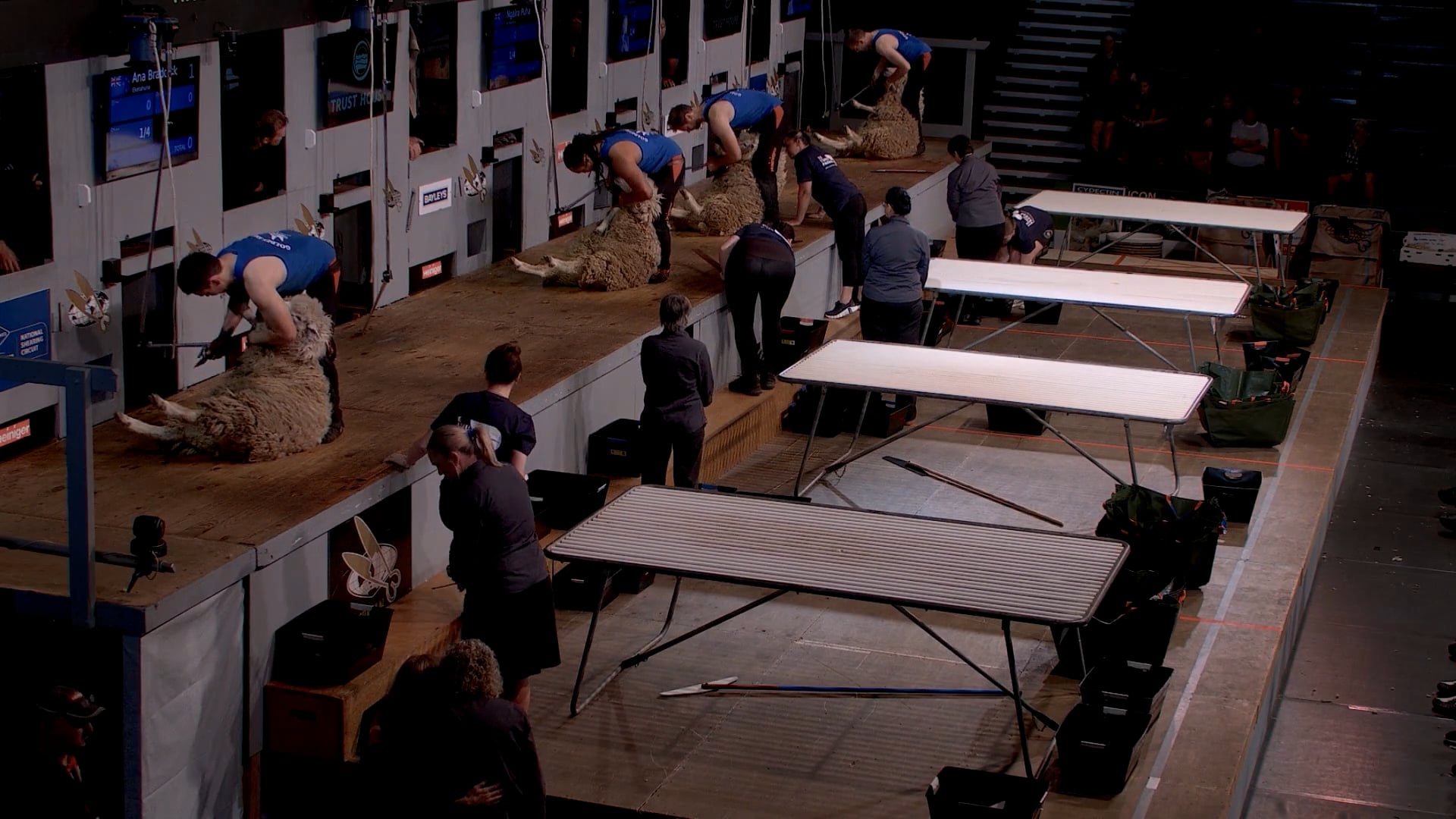 Open Woolhandling Heats (2026) - Round 10