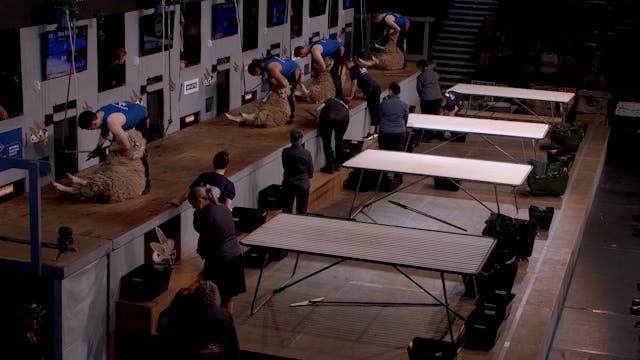 Open Woolhandling Heats (2026) - Roun...