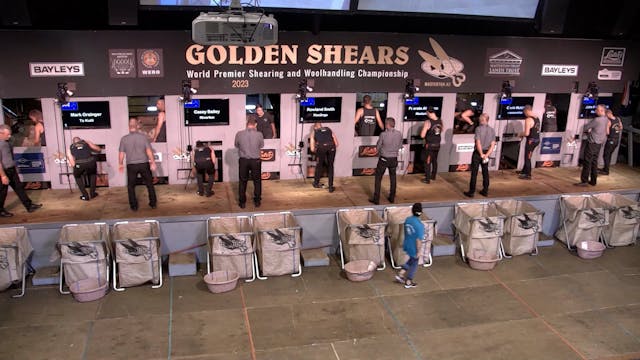 Golden Shears Bayleys Open Shearing  ...