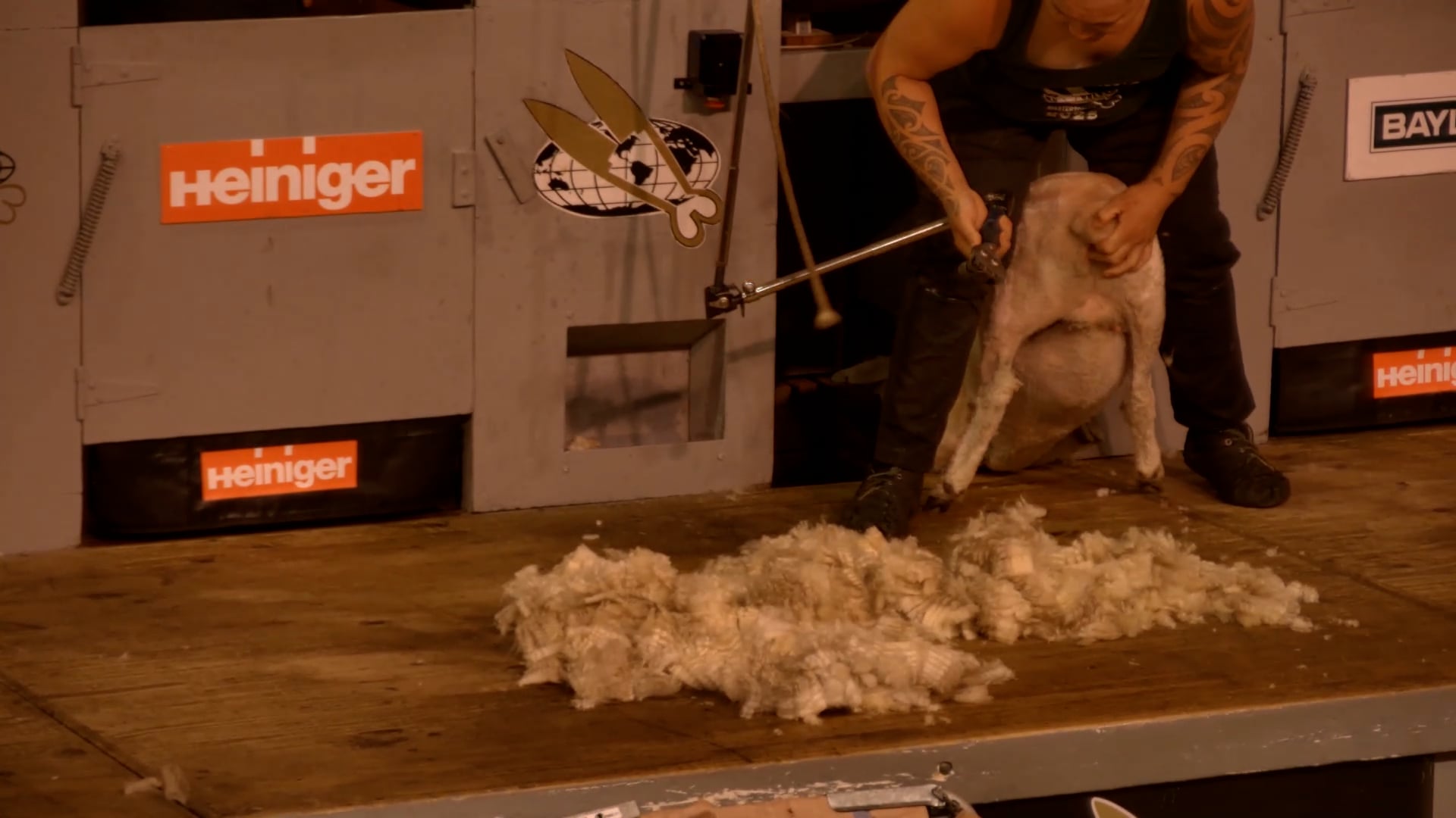 Open Speed Shearing Final - Round 3