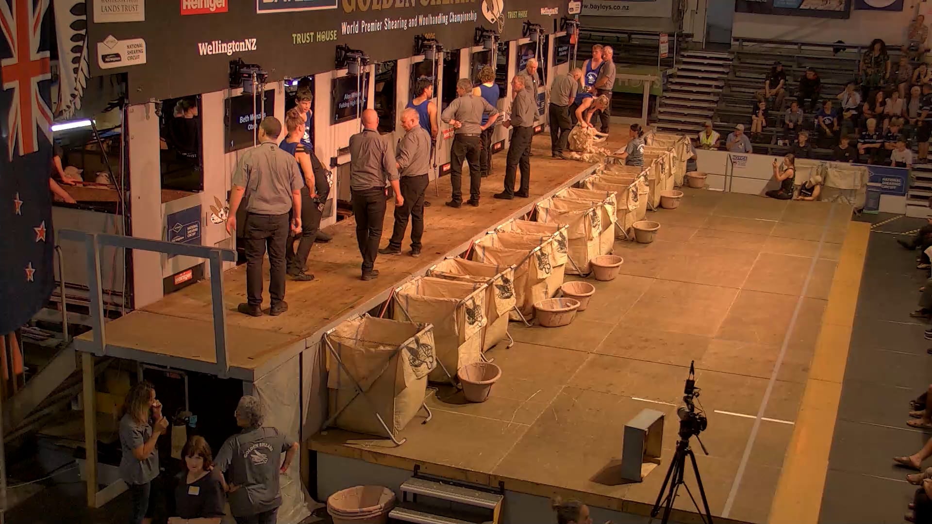 Junior Shearing Heats - Round 1_20250227_135228