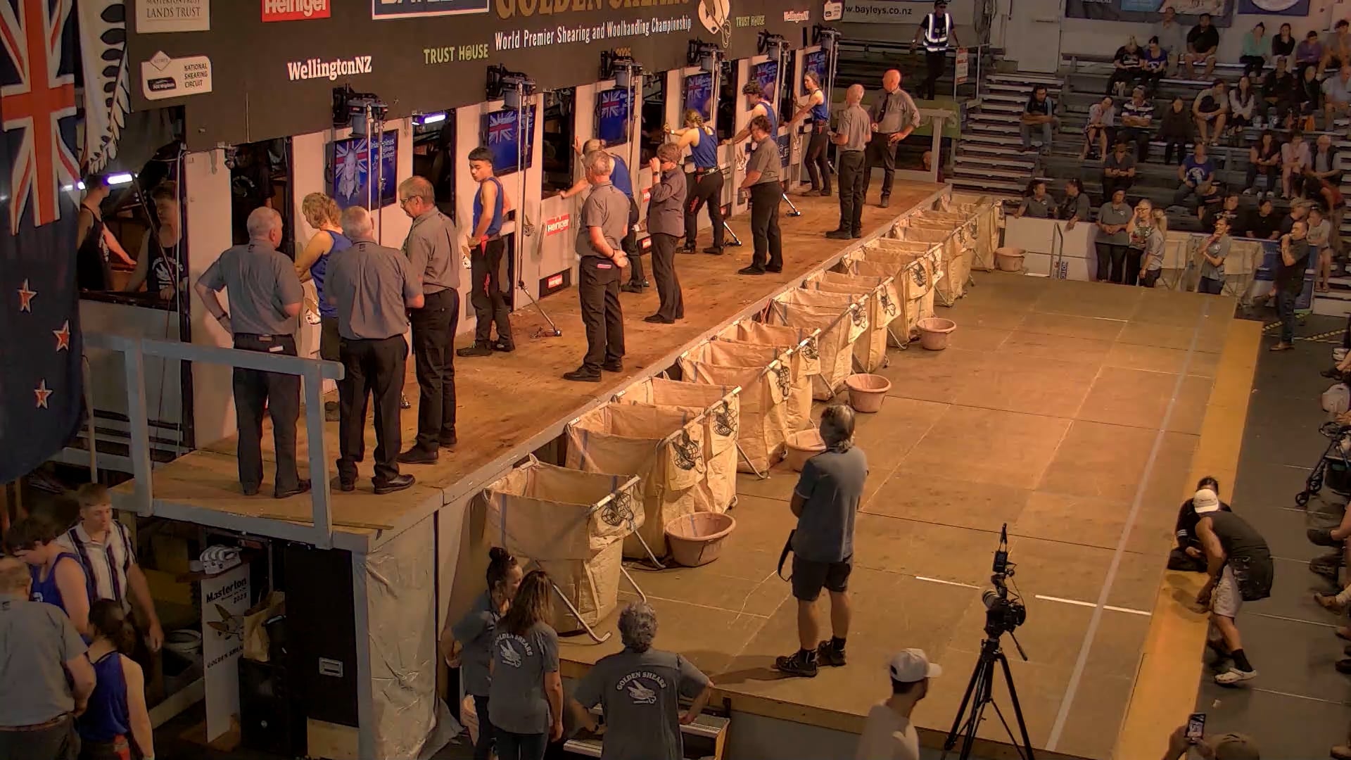 Novice Shearing Heats - Round 9