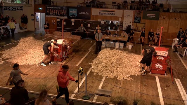 Golden Shears Senior Shearing Heat 8