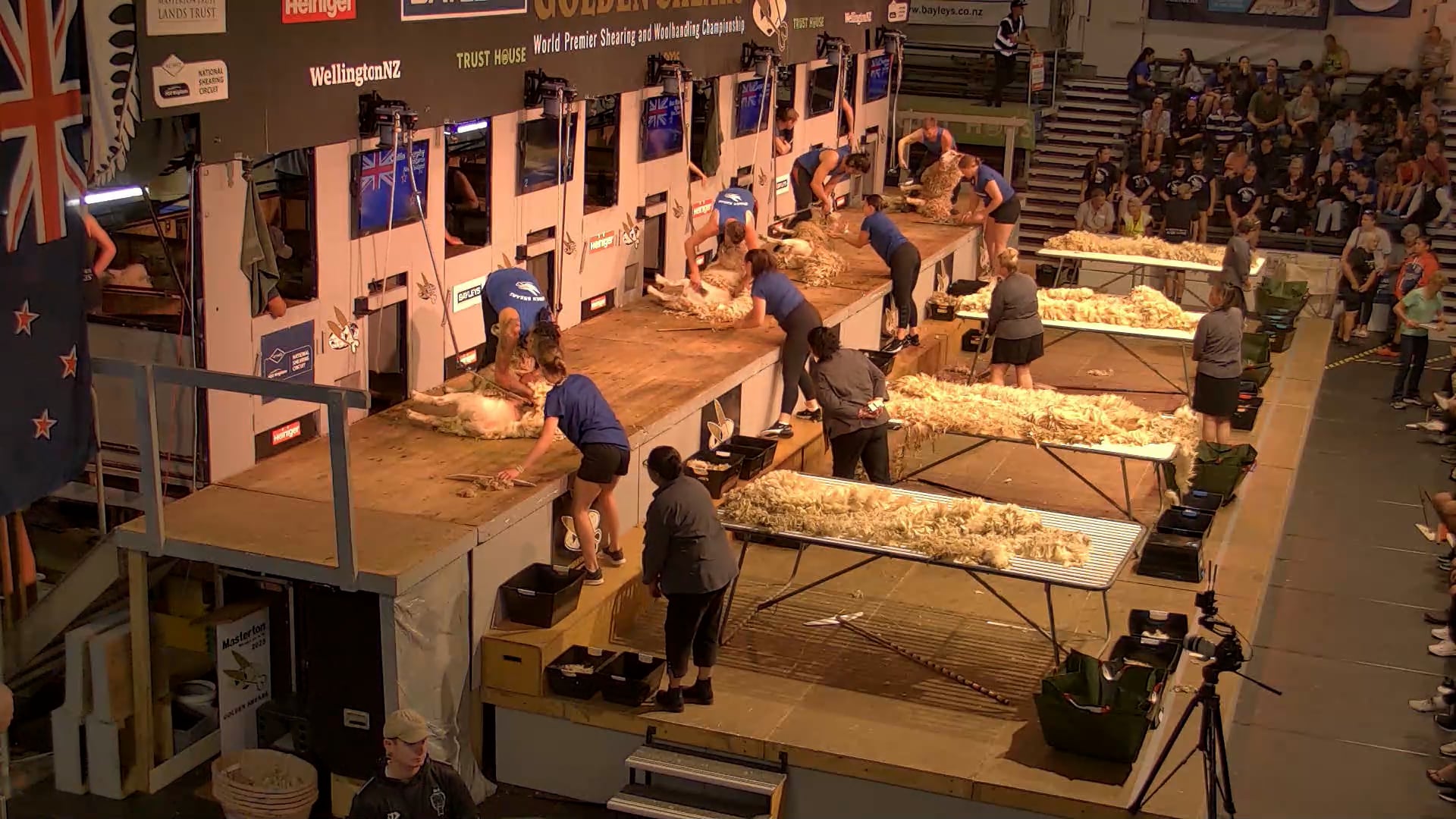 Junior Woolhandling Heats - Round 8