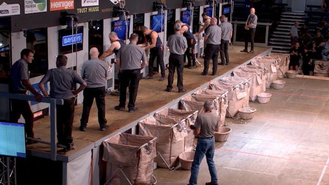 Open Shearing Heats (2026) - Round 19