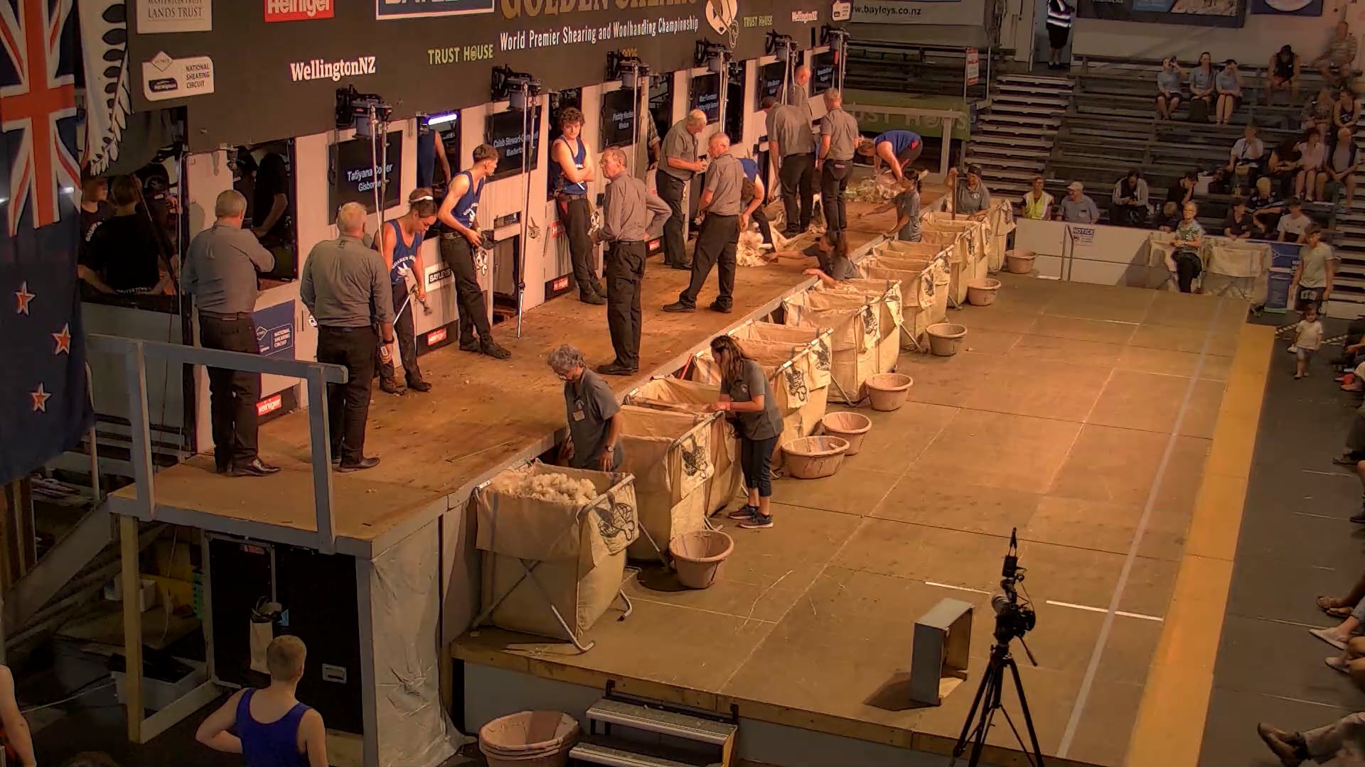 Junior Shearing Heats - Round 1_20250227_135942