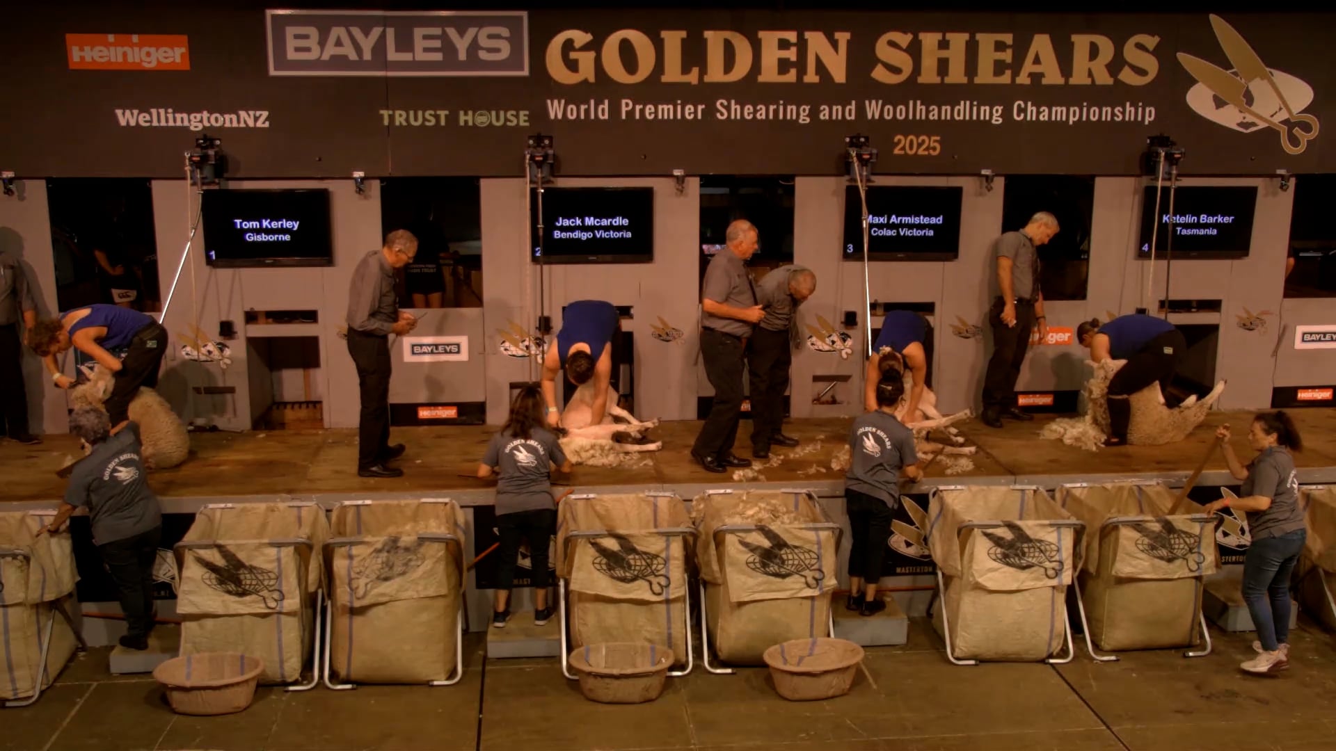Junior Shearing Heats - Round 11