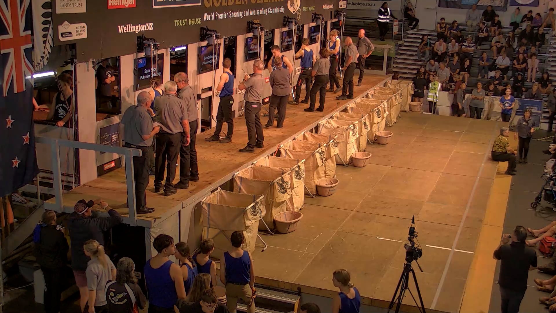 Novice Shearing Heats - Round 10_20250227_120043