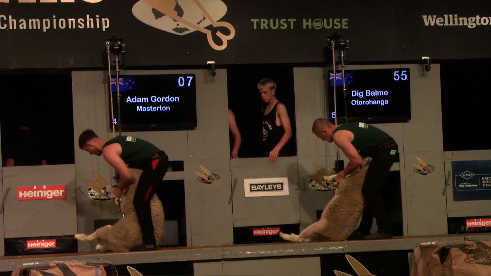Open Speed Shearing Heats - Round 19