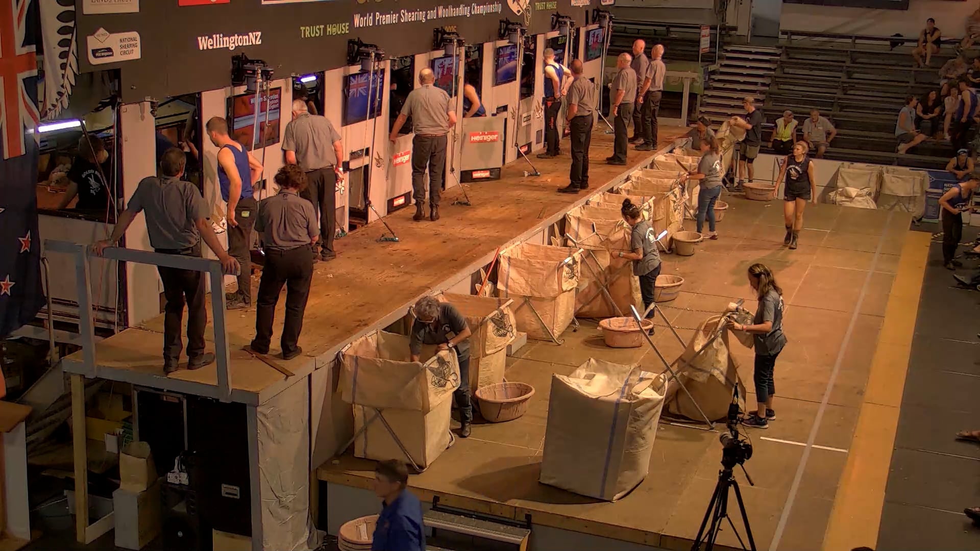 Intermediate Shearing Heats - Round 5