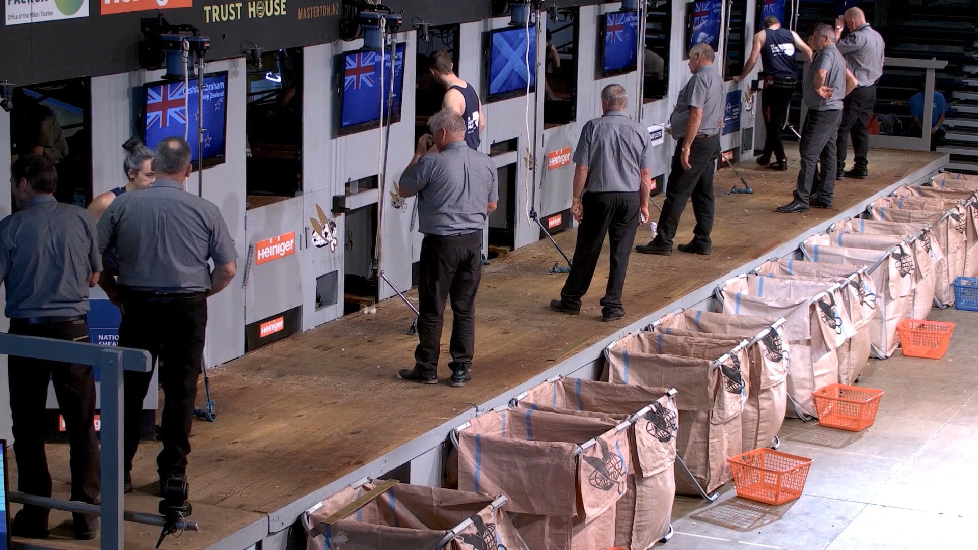 Intermediate Shearing Heats (2026) - Round 8