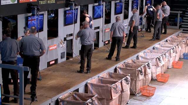 Intermediate Shearing Heats (2026) - ...