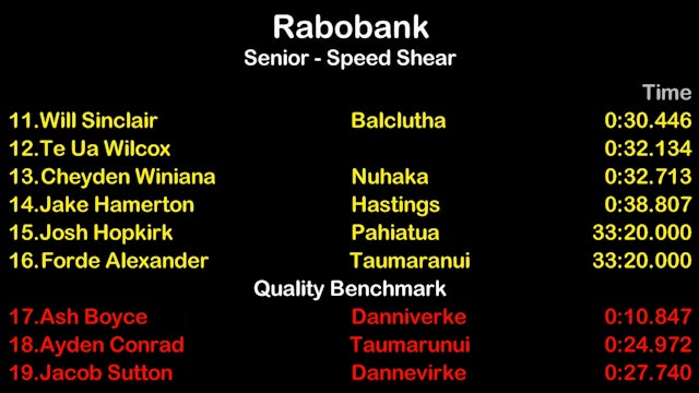 Rabobank Senior Speed Shear Heat 11