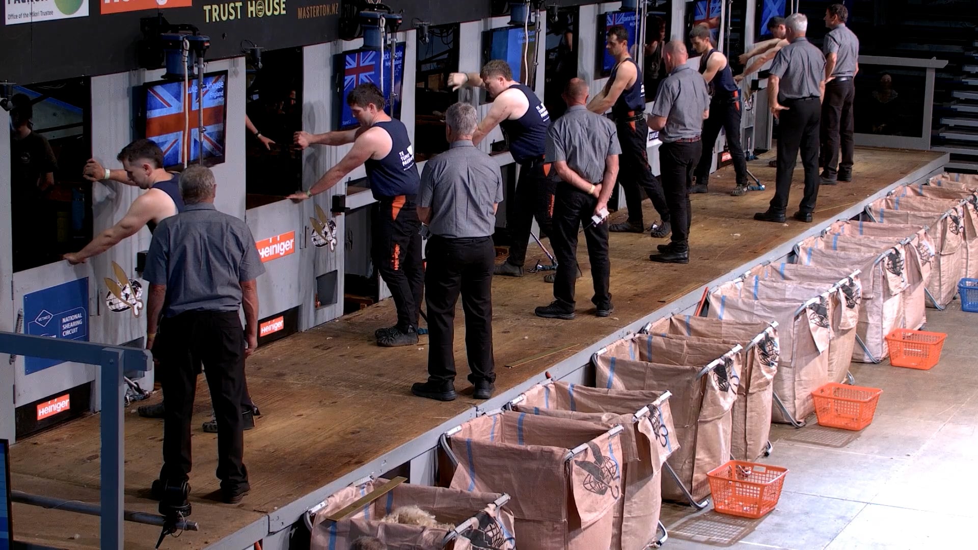Senior Shearing Heats (2026) - Round 8