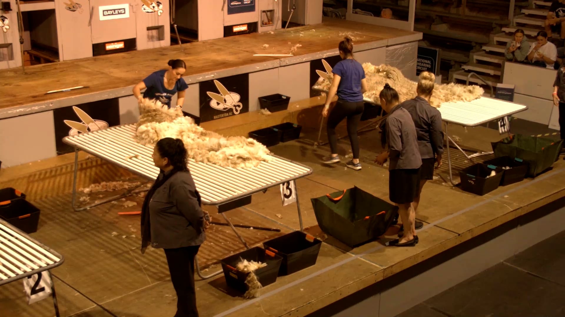 Novice Woolhandling Heats - Round 4