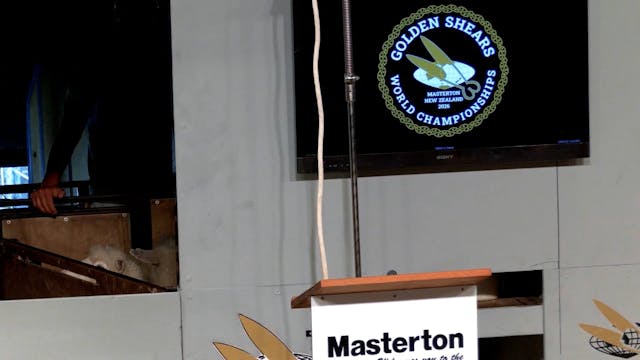 Junior Shearing Final (2026) - Round 1