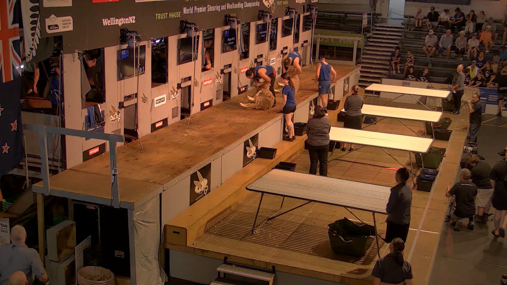 Open Woolhandling Heats - Round 13