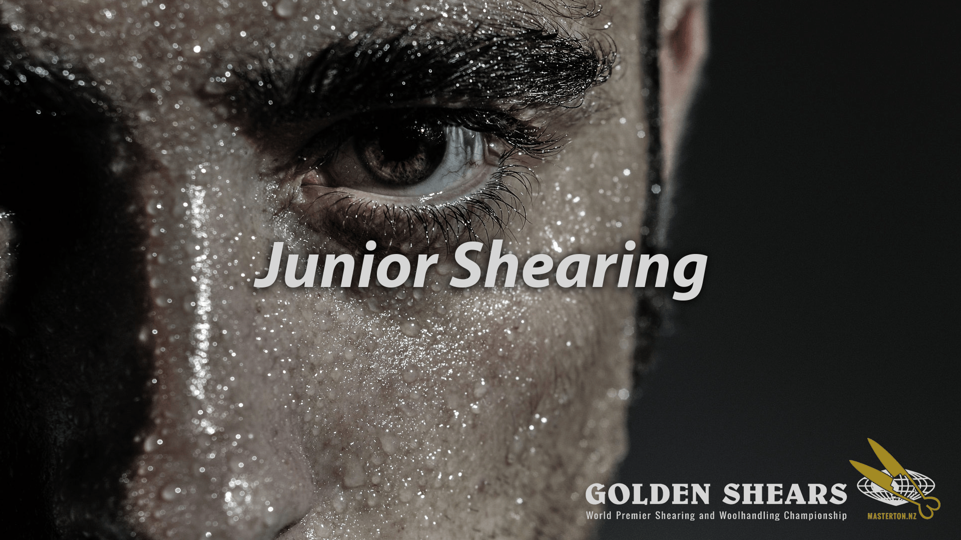 Junior Shearing