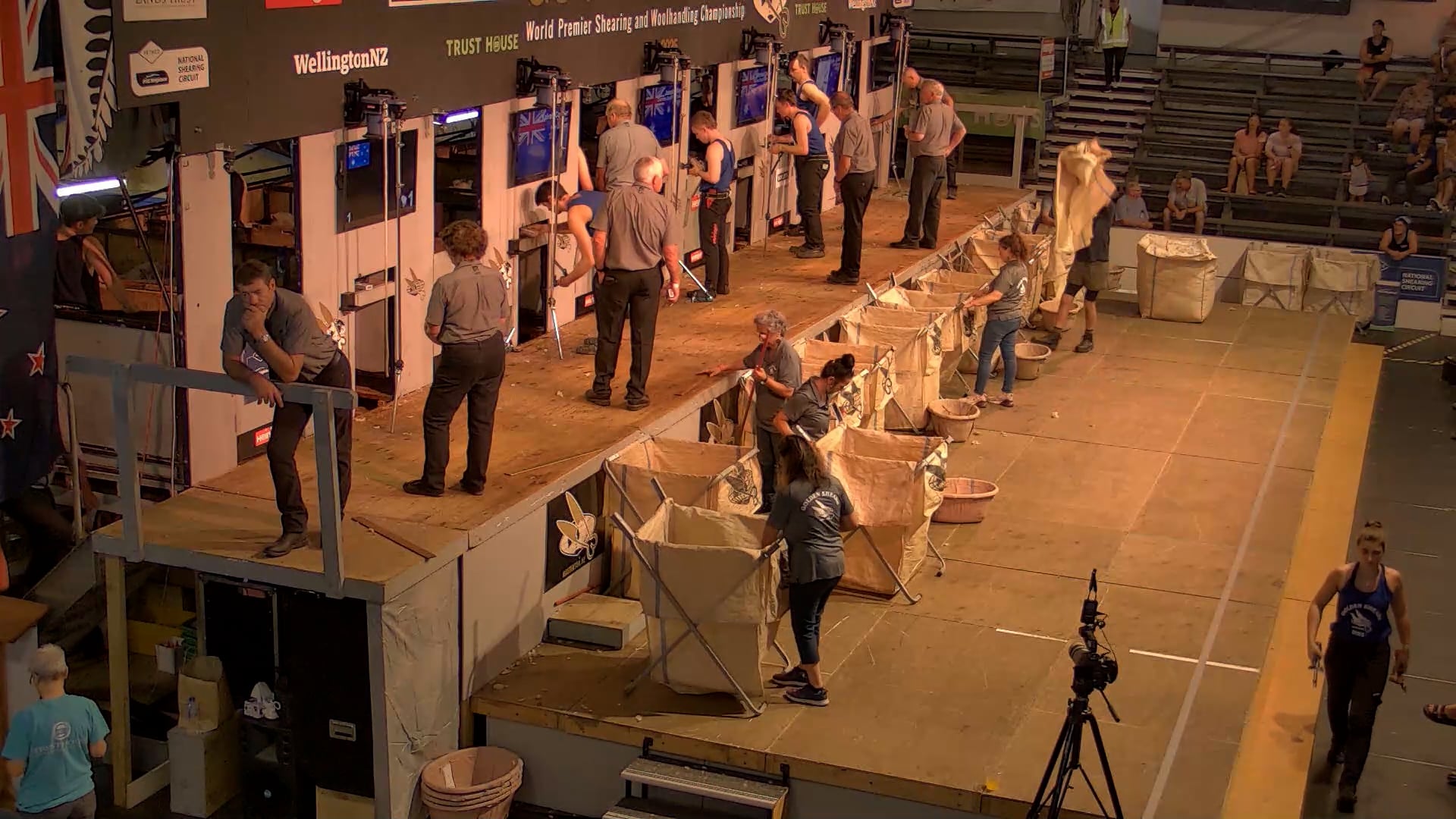 Intermediate Shearing Heats - Round 10