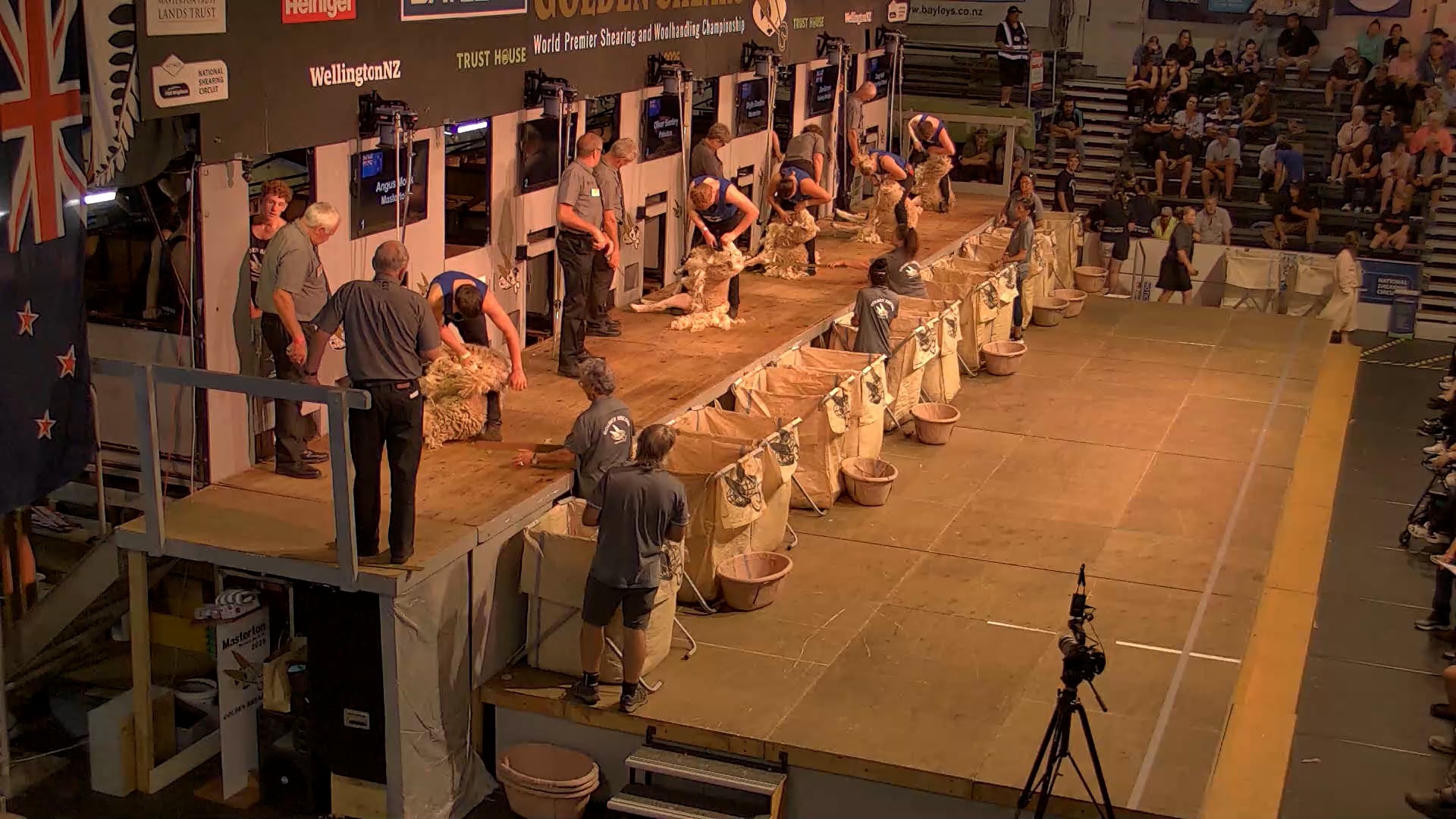 Novice Shearing Heats - Round 1_20250227_114140