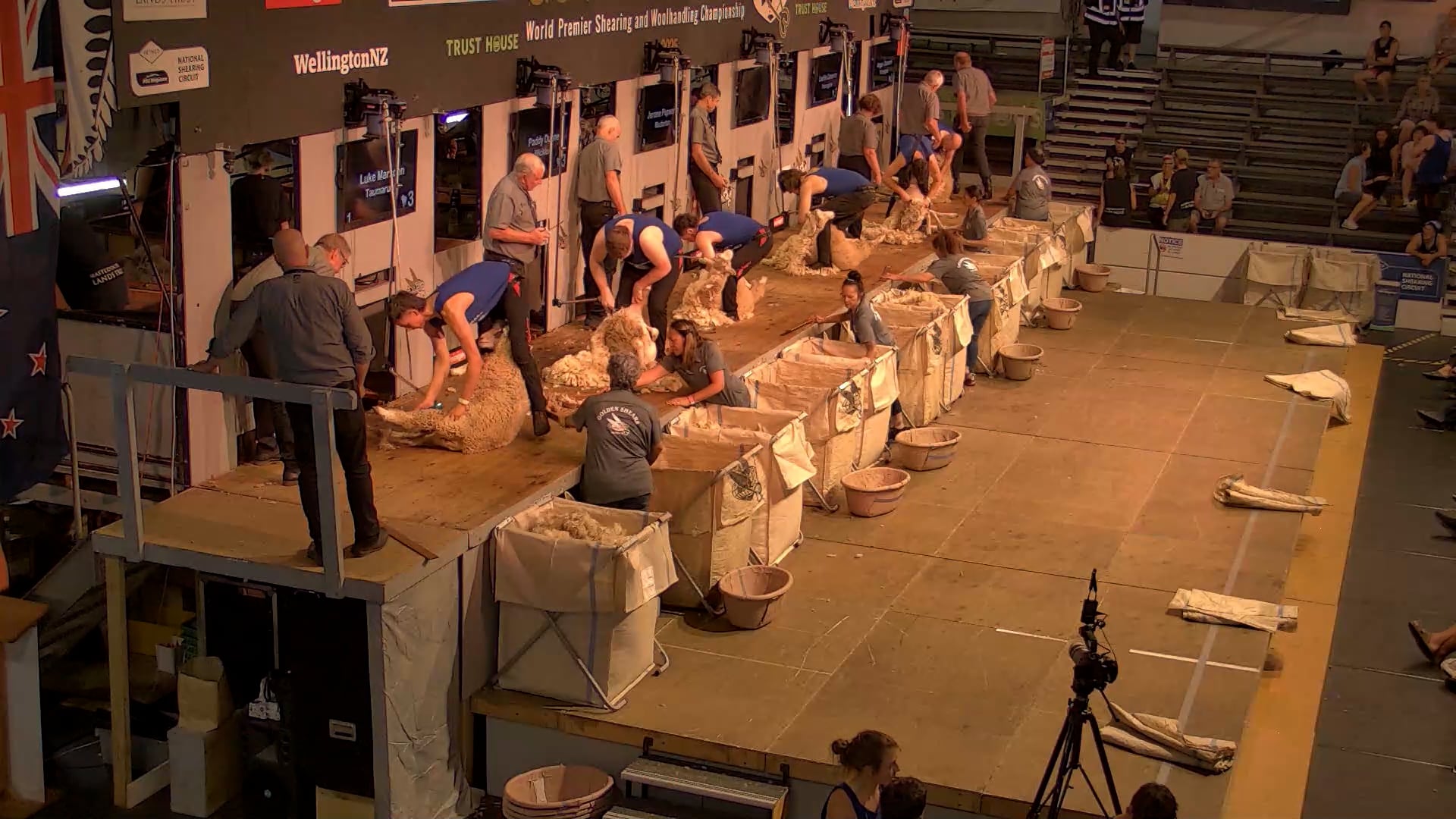 Intermediate Shearing Heats - Round 4