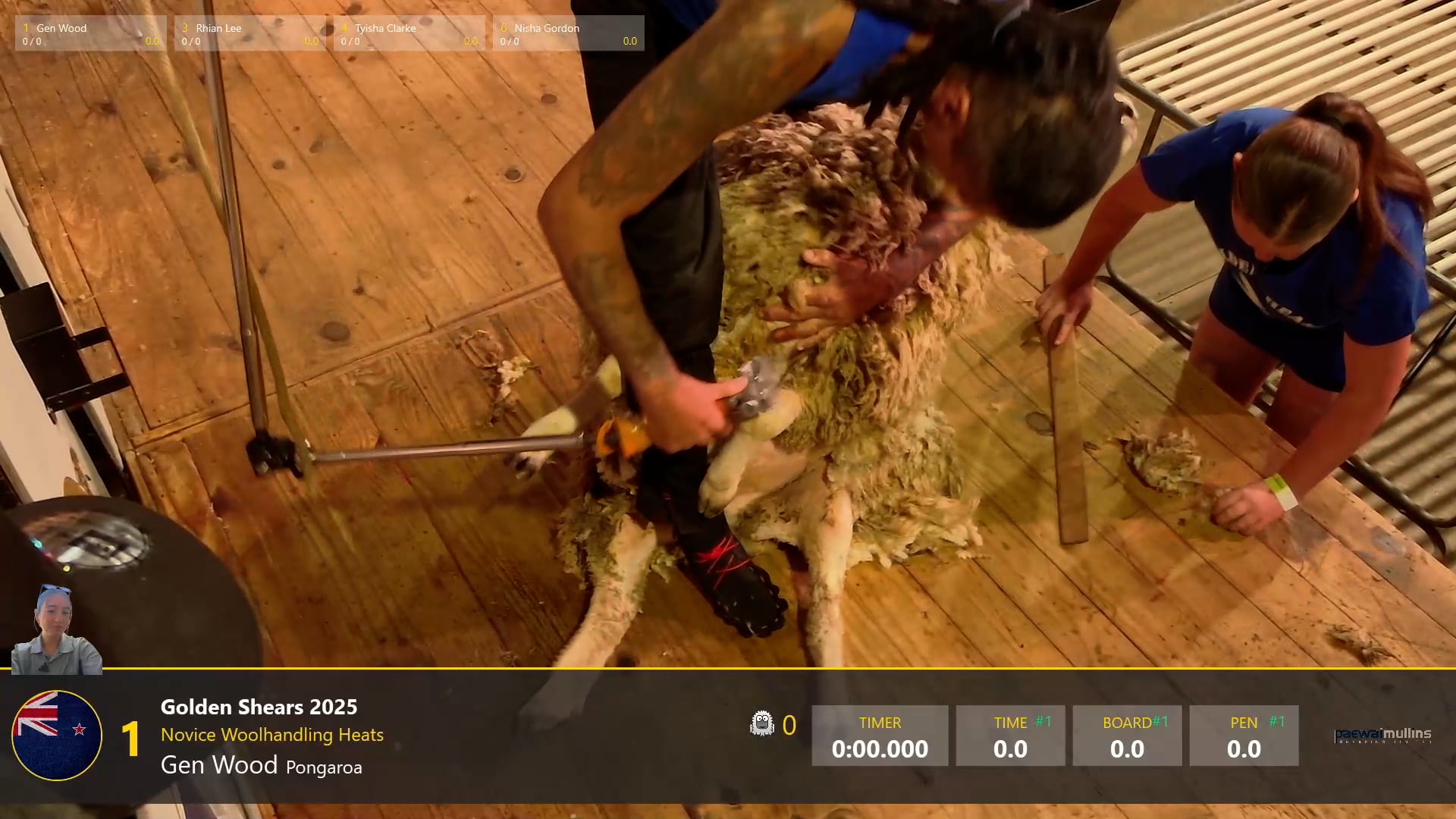 Novice Woolhandling Heats - Round 3
