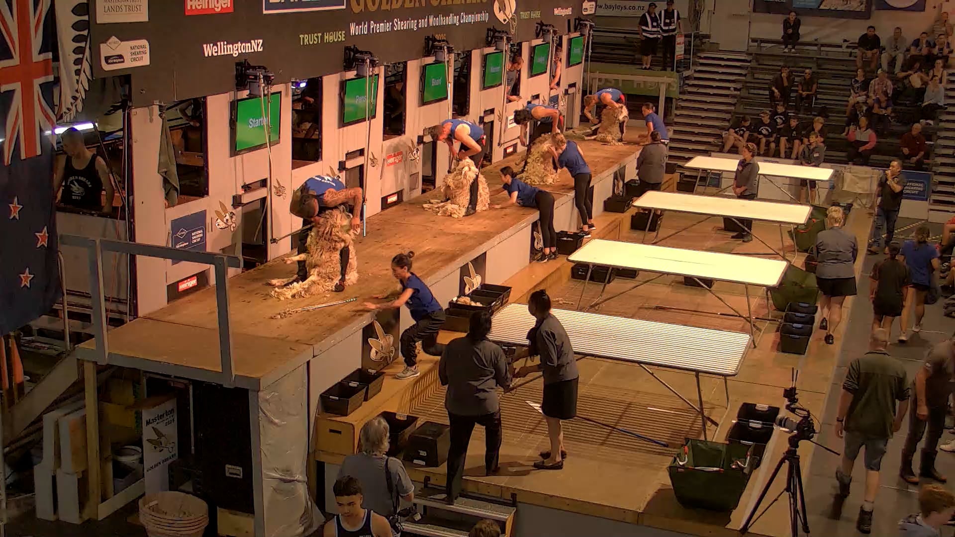 Junior Woolhandling Heats - Round 1_20250227_085312