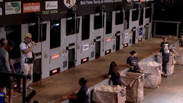 Senior Speed Shearing Final (2026) - ...