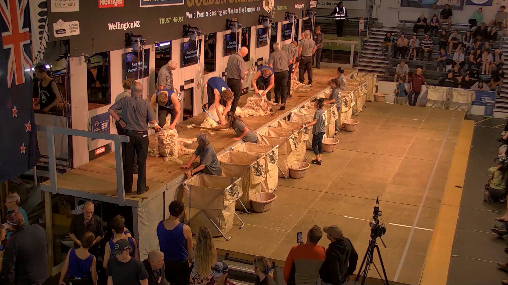 Novice Shearing Heats - Round 1_20250227_115713