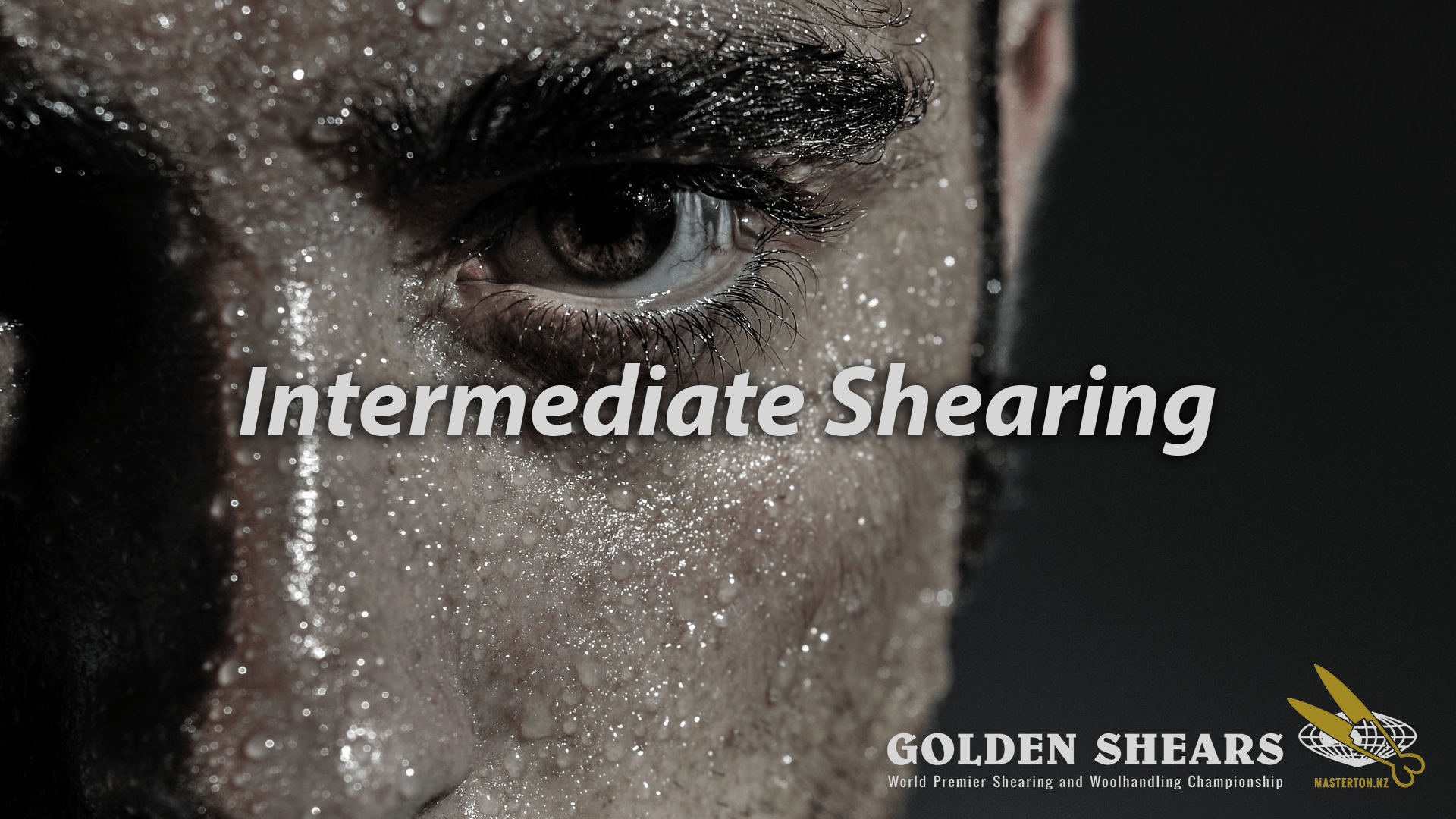 Intermediate Shearing