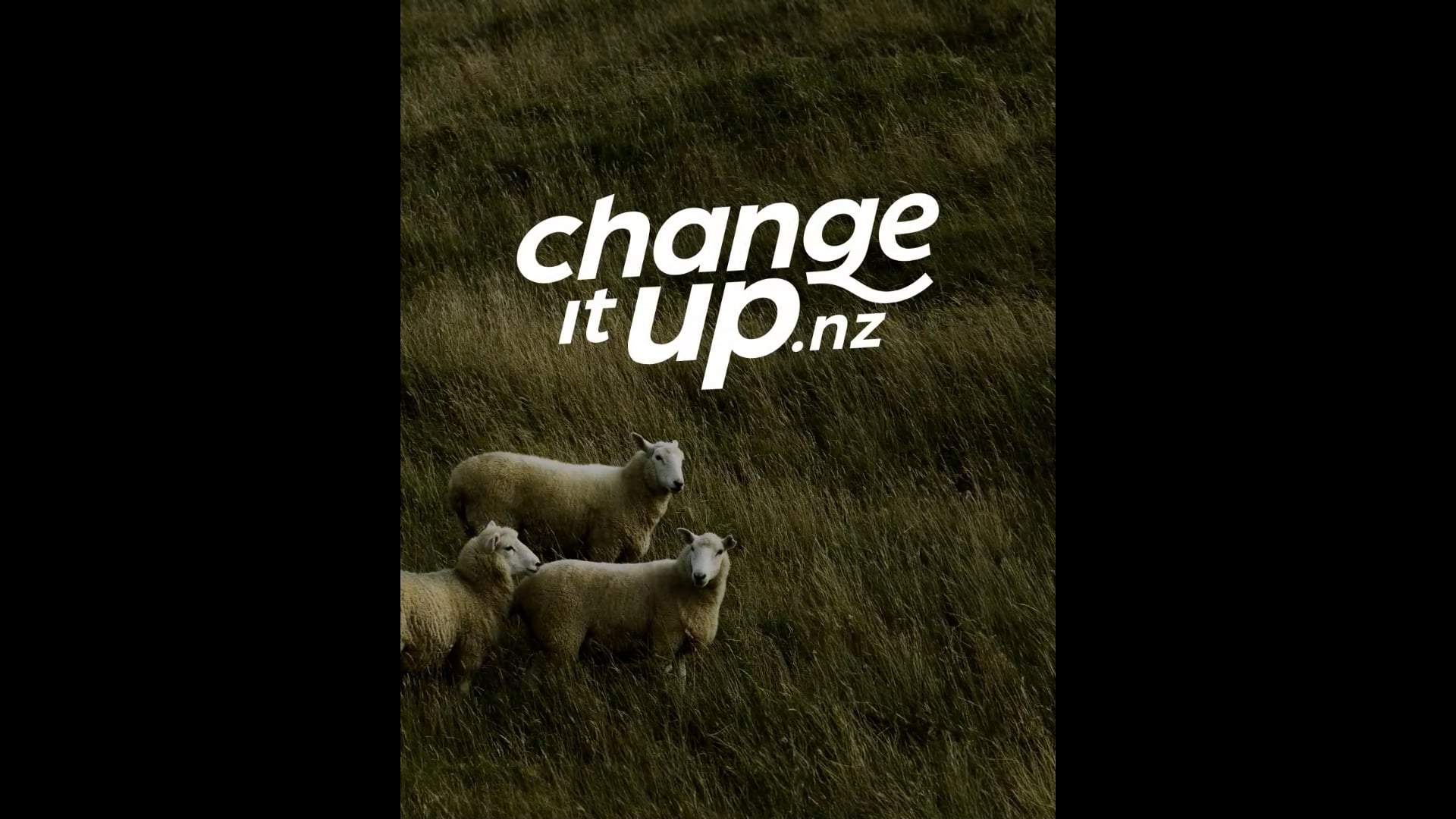 Junior Speed Shearing Heats - Round 1_20250227_181710