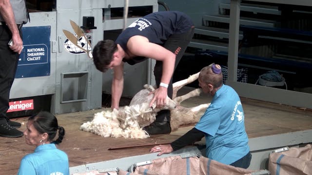 Junior Shearing Heats (2026) - Round 1
