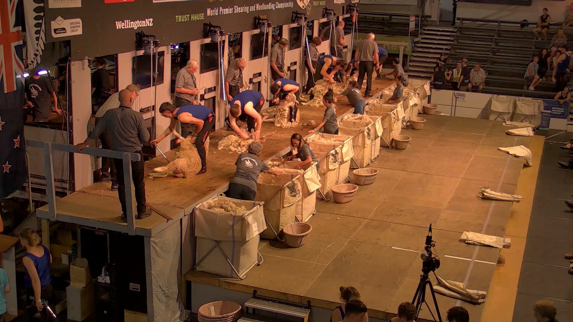 Intermediate Shearing Heats - Round 1_20250227_160149