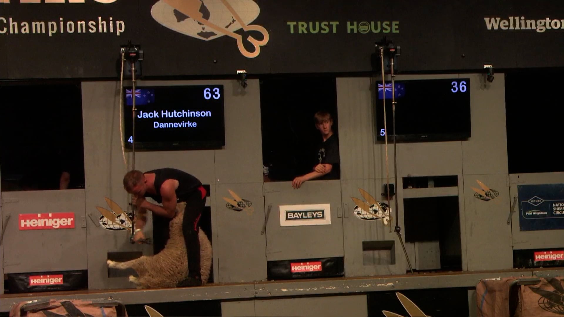 Senior Speed Shearing Final - Round 3