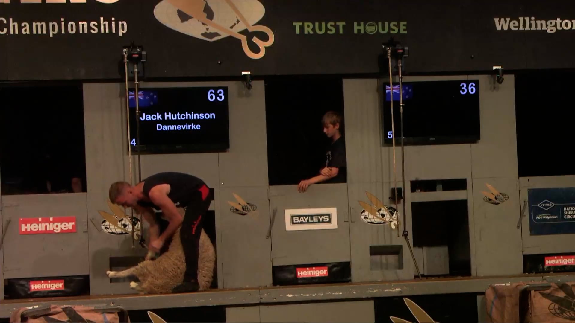 Senior Speed Shearing Final - Round 3