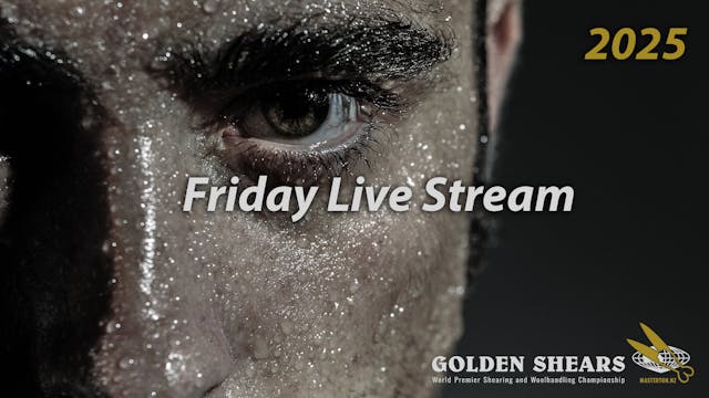 Friday All Day Live Stream 2025