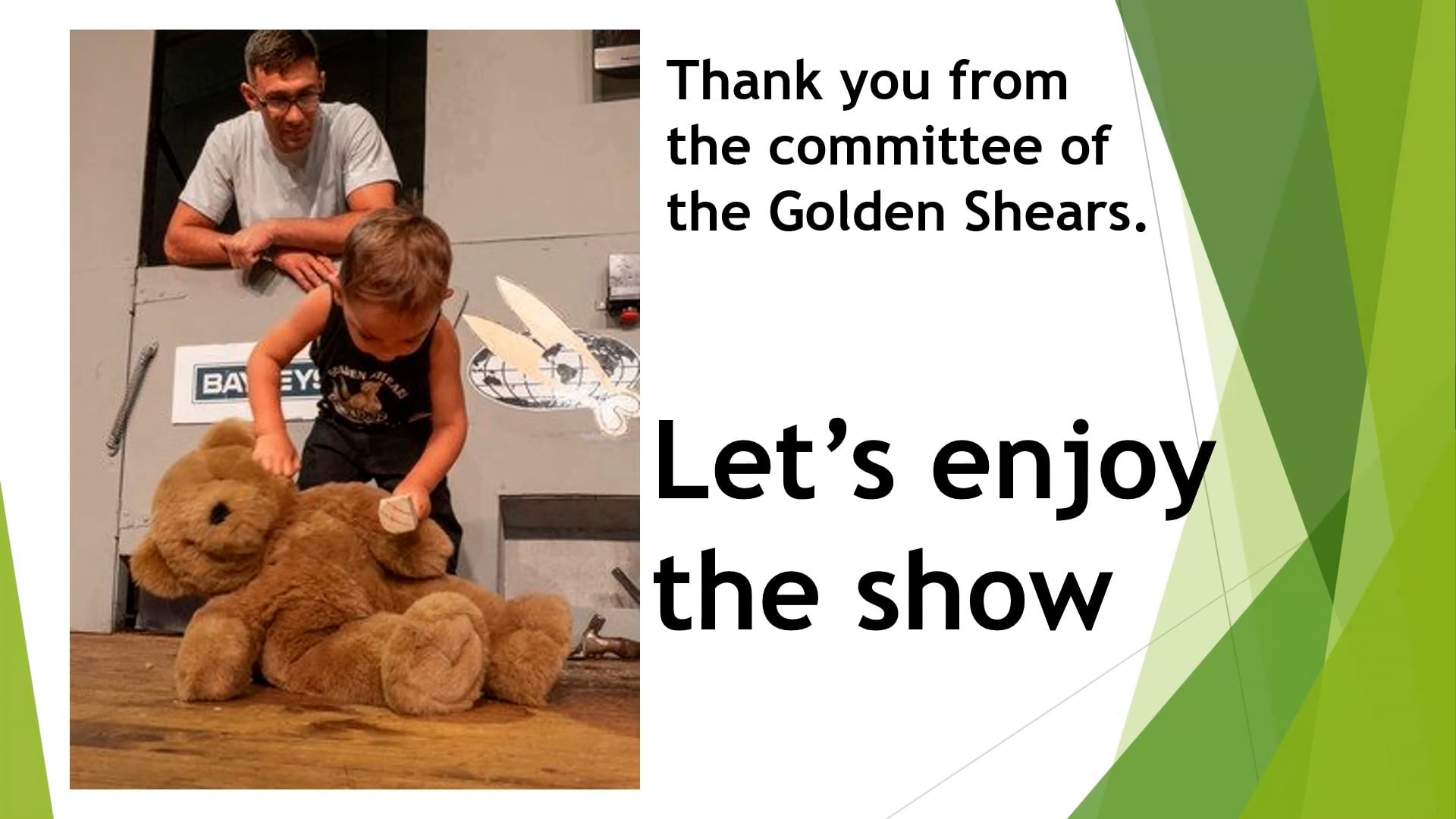 Senior Woolhandling Heats - Round 1