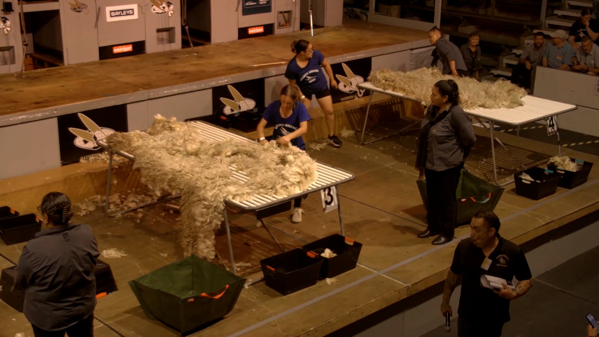 Junior Woolhandling Heats - Round 1_20250227_100454