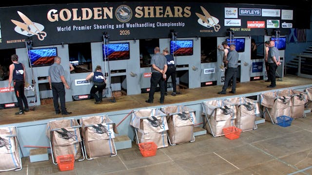 Intermediate Shearing Heats (2026) - ...