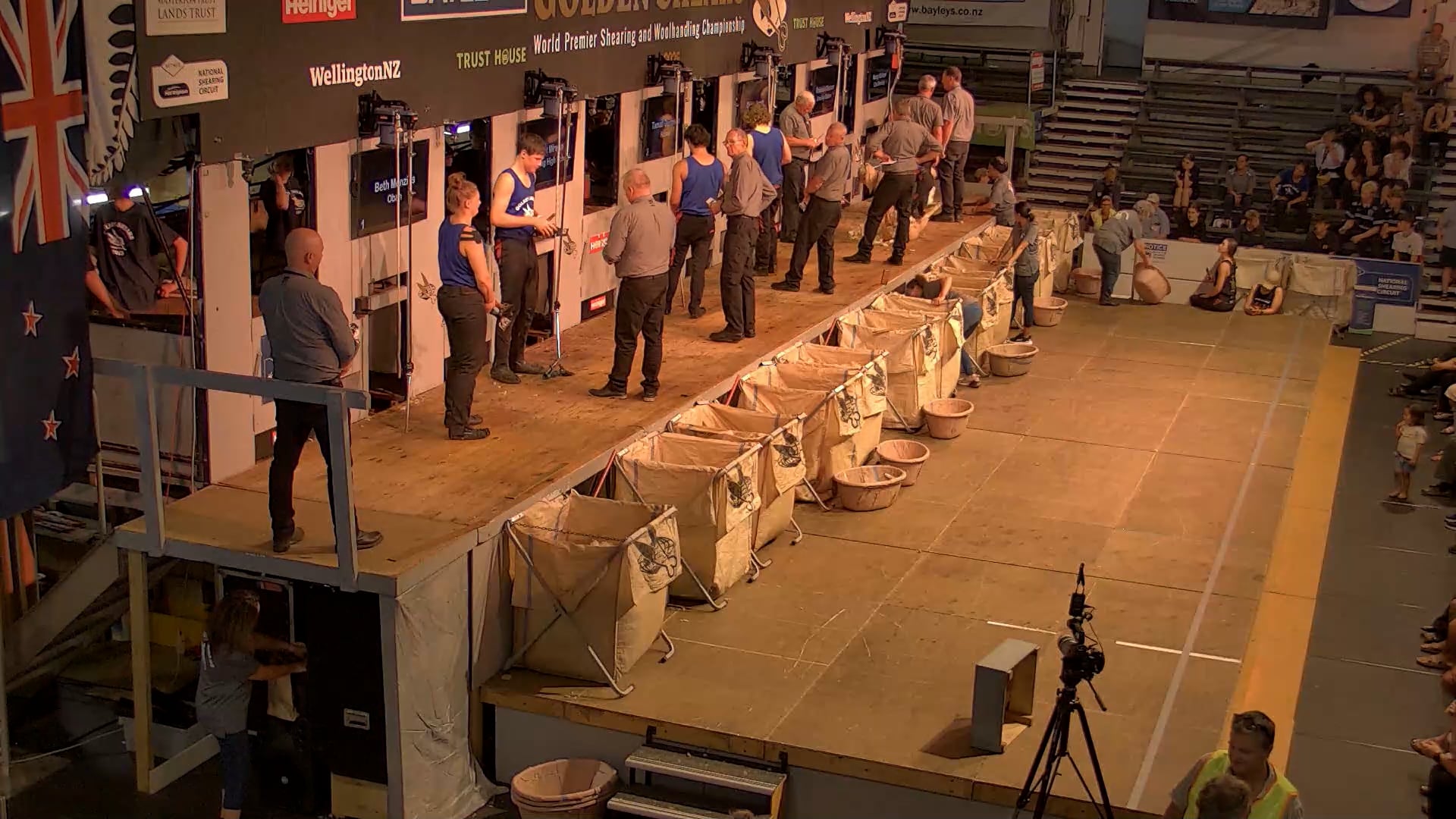 Junior Shearing Heats - Round 3_20250227_135210