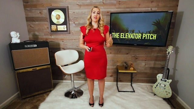 8.8. The Elevator Pitch