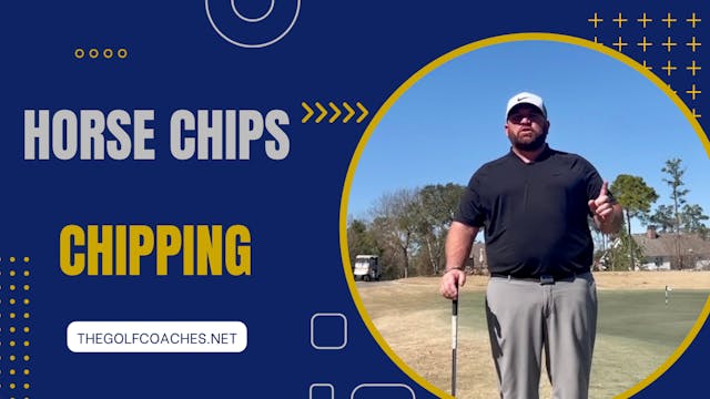 Chipping - Horse Chips Drill