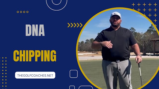 Chipping - Drill - DNA