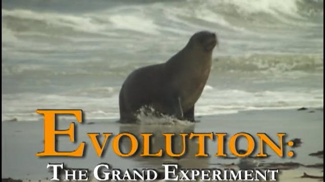 Episode 1 Evolution: The Grand Experiment