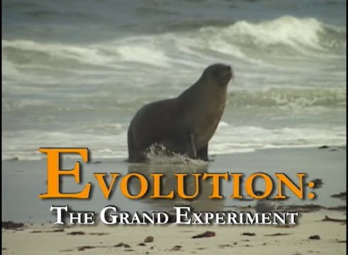 Episode 1 Evolution: The Grand Experiment