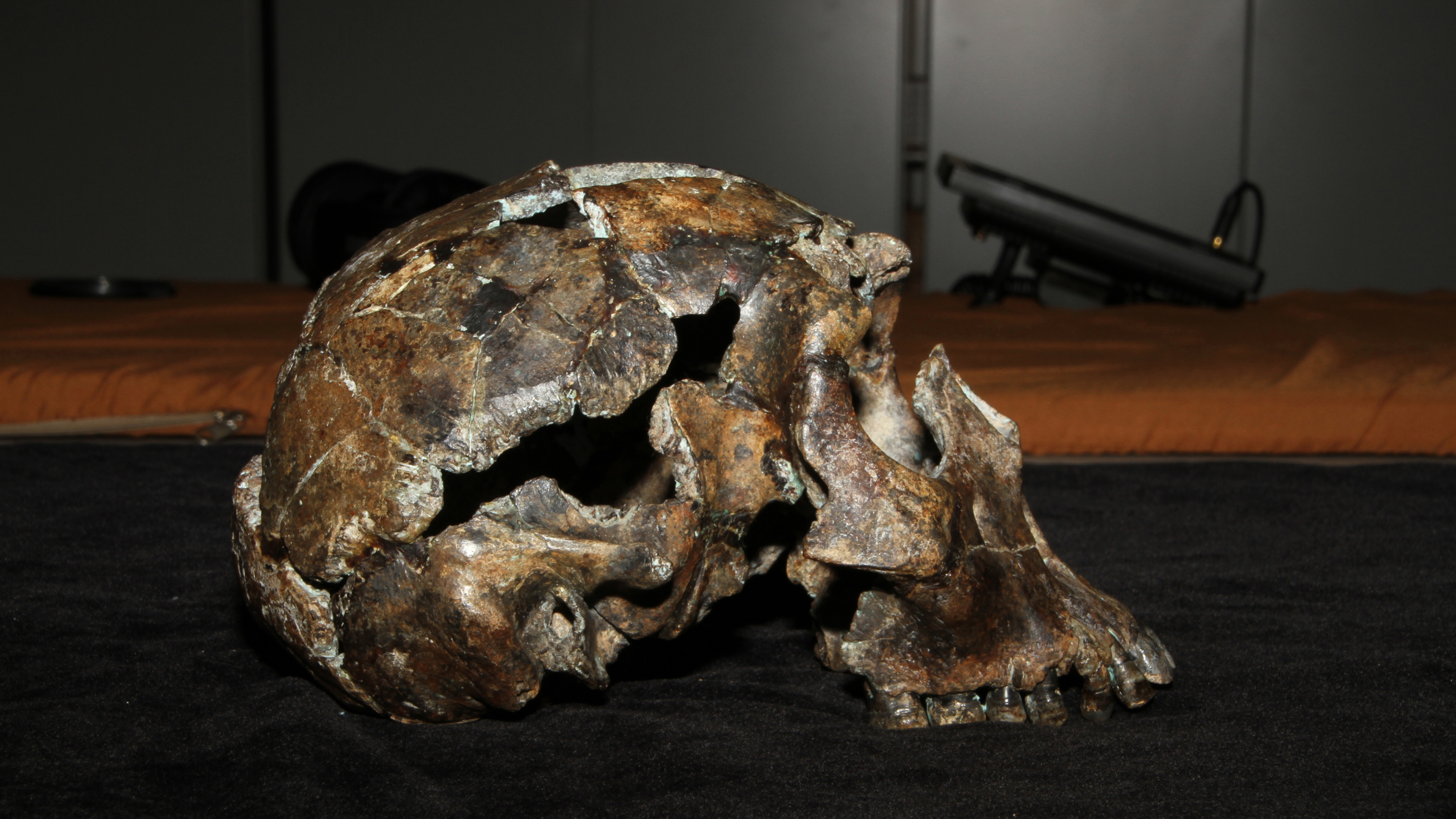 Episode 6/8 Human Evolution Fraud in Africa