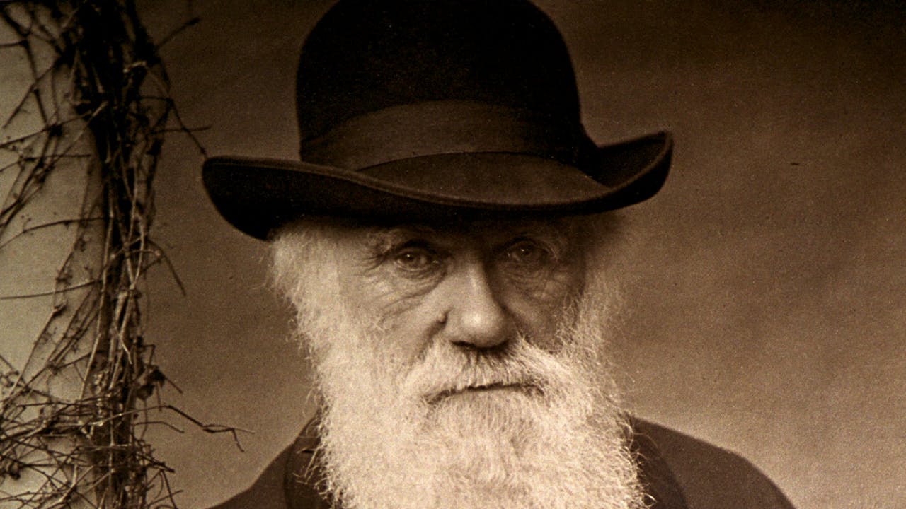 Episode 1/8 Evolution: The Grand Experiment